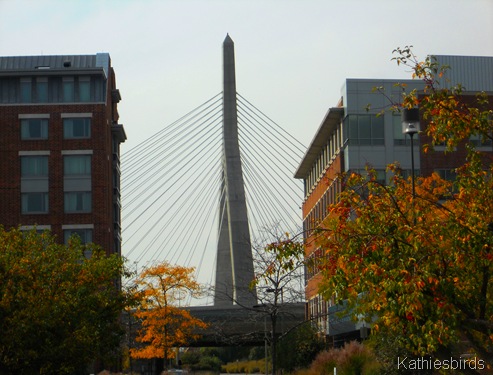 5. Zakim br-kab