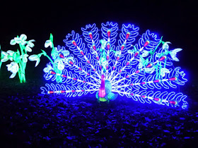 http://www.kew.org/visit-kew-gardens/whats-on/christmas-at-kew-2015