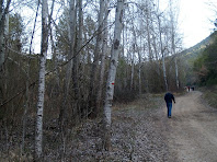 Caminant per la vessant esquerra del Cardener