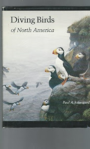 Diving Birds of North America