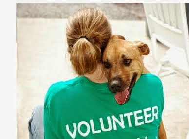 volunteer