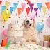 All You Need to Know About Dog Birthday Party