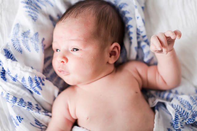 DC Newborn Lifestyle Photography | Photos by Heather Ryan Photography