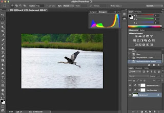 Adobe Photoshop Latest Version Image