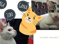 Nama Panggilan Untuk Kucing - Behind the Scene