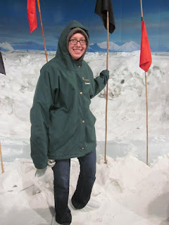 flags in snow