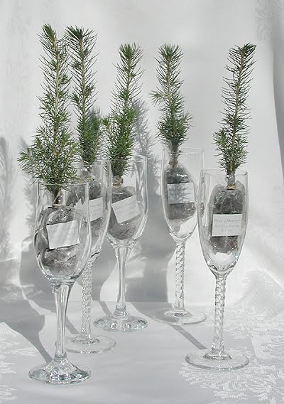 Wedding Gifts on Paper Olive     The Blog  Eco Chic Wedding Favors     Living Seedlings