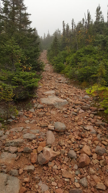 Sentier menant aux monts Richardson et Joseph-Fortin