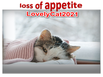 Feline diseases (loss of appetite)