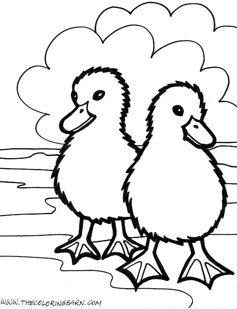 Futuresbeginning  Baby Animals Coloring Pages  