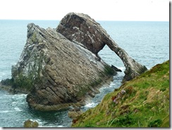 ptk bow fiddle rock
