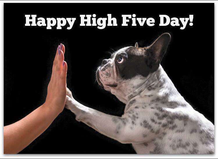 National High Five Day Wishes pics free download