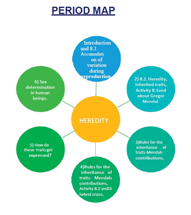 CBSE 10th Biology Heredity Lesson Plans, Period Plans PDF