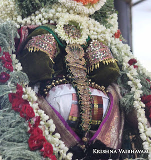 Sri Narasimha Swamy, Dhavana Utsavam, Venugoplan Thirukkolam,Theliya Singar, Azhaiya Singar,Thirumanjanam, Purappadu,  Triplicane,  Purappadu, Thiruvallikeni, Utsavam