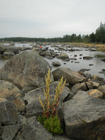 Valtavia lohkareita lahden rannalla