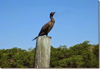IMG_1581