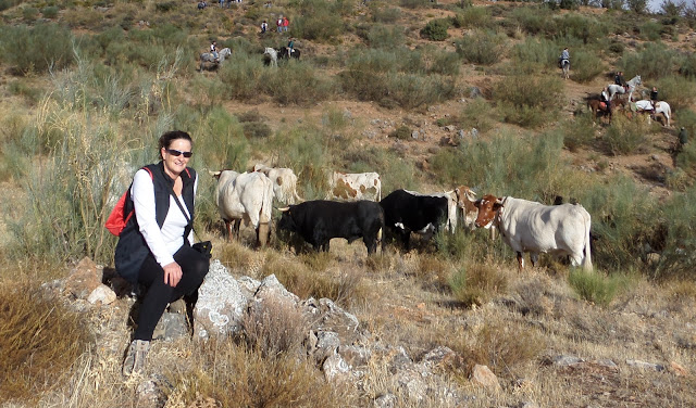 Lugros.Toros de la Peza