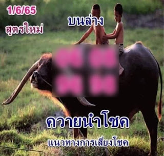 ควายนำโชค สูตรใหม่ งวด 1 มิถุนายน 2565 OHO999.com