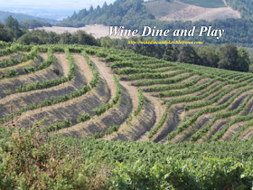 The Estate property of Kamen wines in Sonoma, California