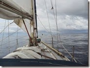 SAM_6401