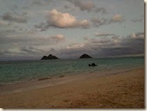 IMG_1587