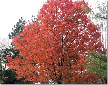 color