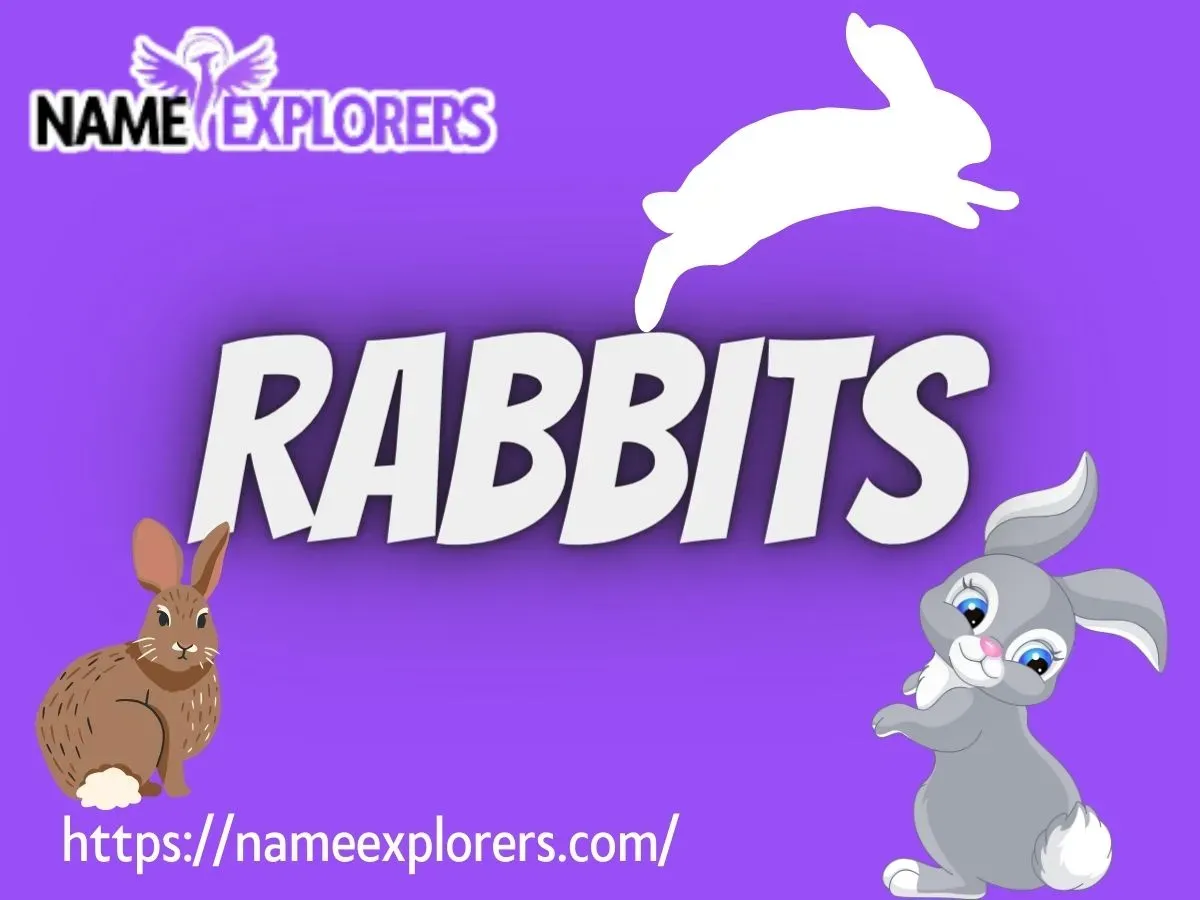 Pet Names For Rabbits
