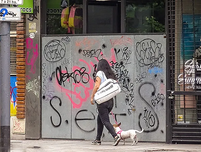 Mujer caminando por Avda. Santa Fe con un perrito.