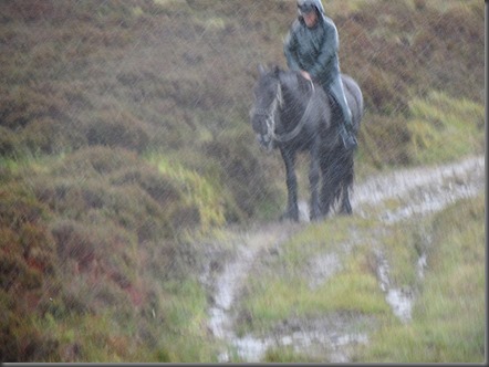 Bobby and the rain