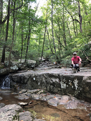 Mini was not enamored with the water, but she endured the hike.