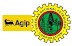 Nigeria AGIP Exploration Ltd (NAE) Post Graduate Scholarship Award Scheme 2019/2020