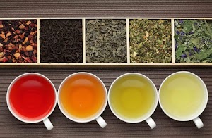 Recognize the difference between green tea and a variety of other types of