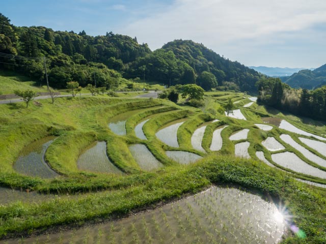 Fun To Travel In Japan Terraced Rice Paddy In Chiba Oyama Senmaida