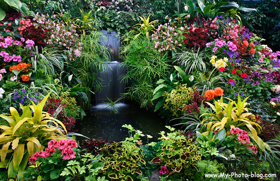 Ada 8 Taman  Bunga  Terindah di  Dunia  MARHANI ROSYADAH