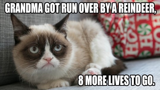 Grumpy Cat Memes