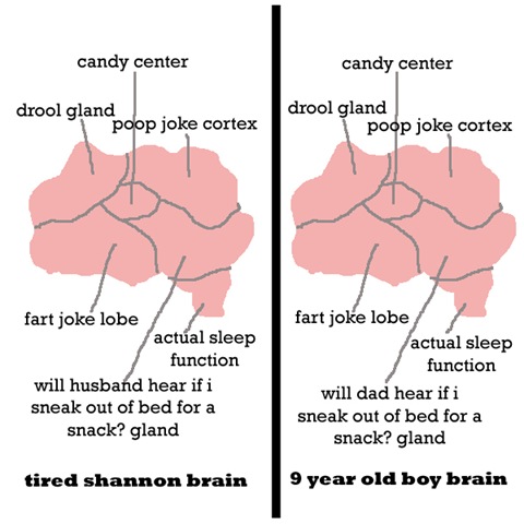 brain