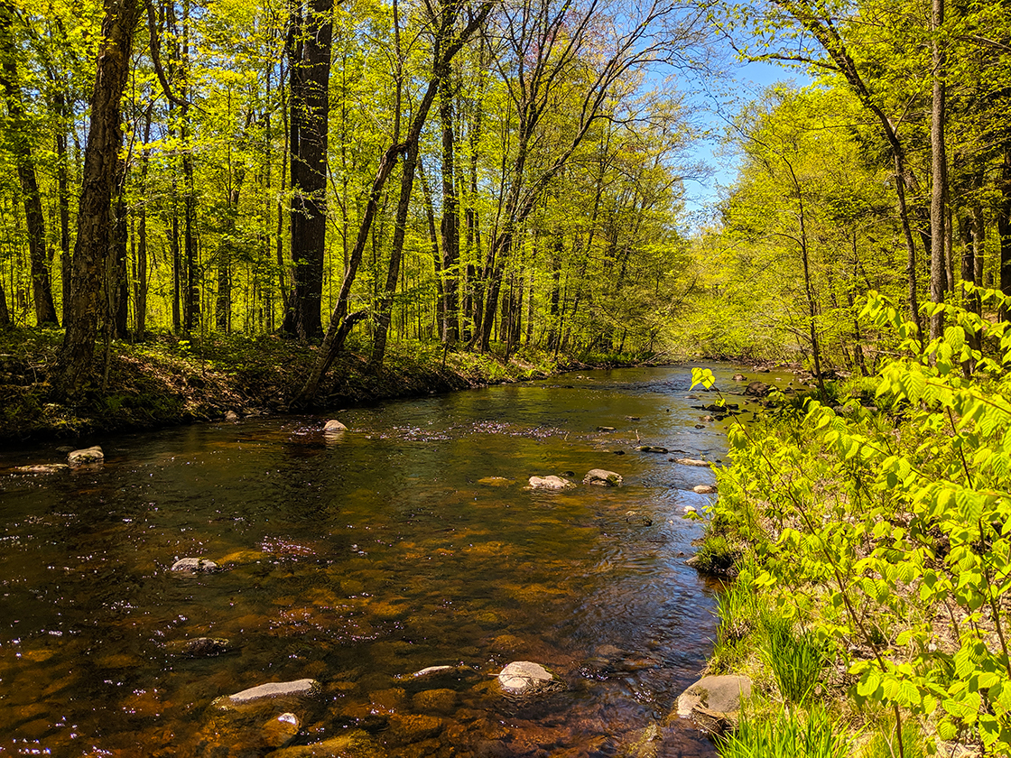 South Fork of the Yellow River