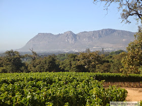 vinícola Groot Constantia