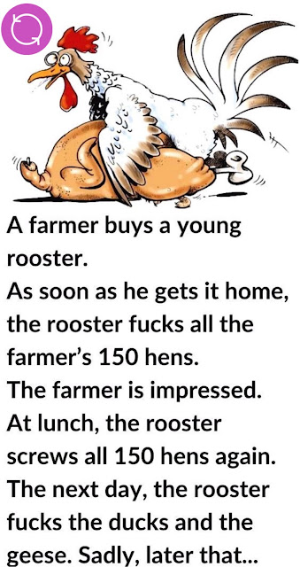 The Farmer Young Rooster