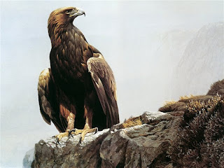 In the Highlands - Golden Eagle (detail)