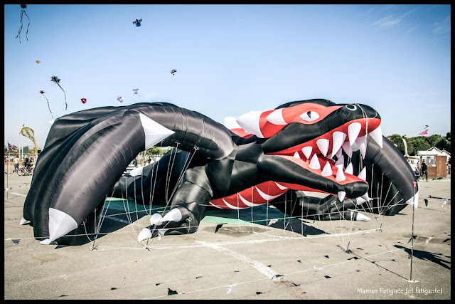 festival de l'air frejus