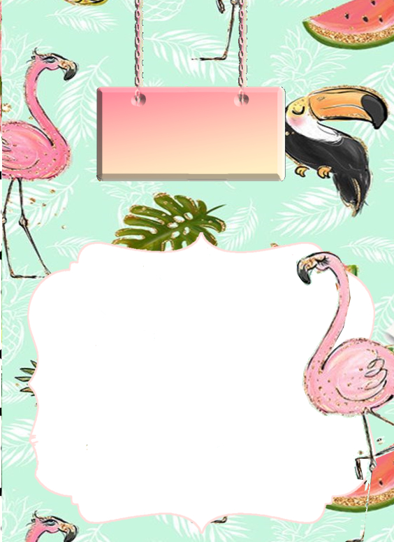 Convite Flamingo