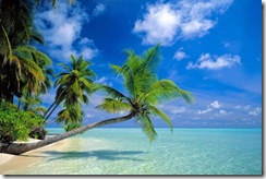 Another_Day_in_Paradise,_Maldives