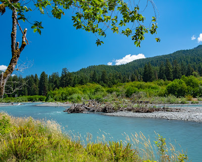 Hoh River, Olympic National Park