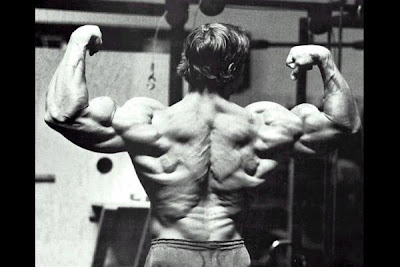 Arnold Bodybuilding Tips by Arnold