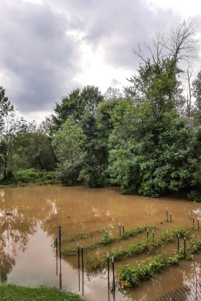 garden flooding | On The Creek Blog // www.onthecreekblog.com