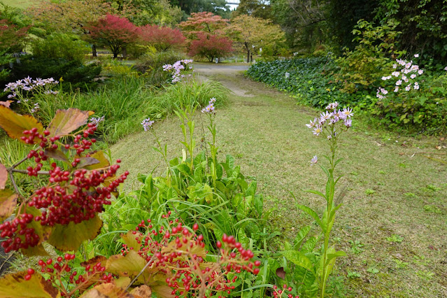 鳥取県西伯郡南部町鶴田　とっとり花回廊