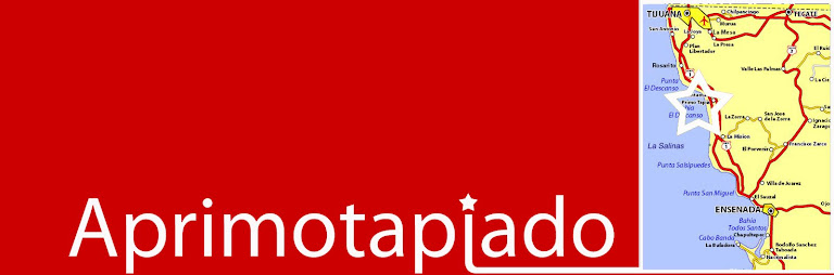 APRIMOTAPIADO