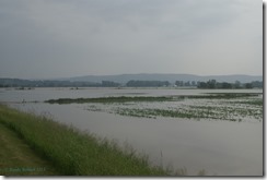 Yucatan Flood RR28