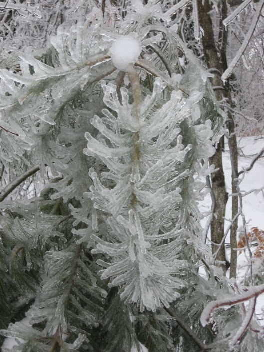 IMG_1844-2014-01-8-18-35.jpg